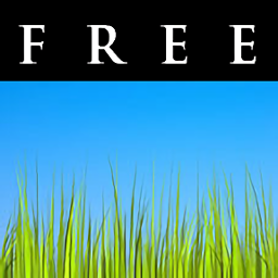 Grass Live Wallpaper[Free]
v3.5 安卓版

