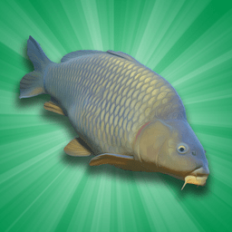 模拟钓鲤鱼(Carp Fishing Simulator)
v1.5 安卓版

