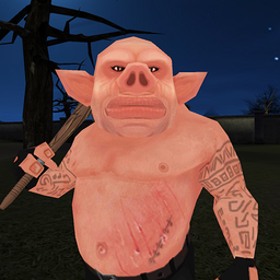猪先生游戏
v4 安卓版

