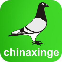 中国信鸽信息网app
v20210906 安卓版

